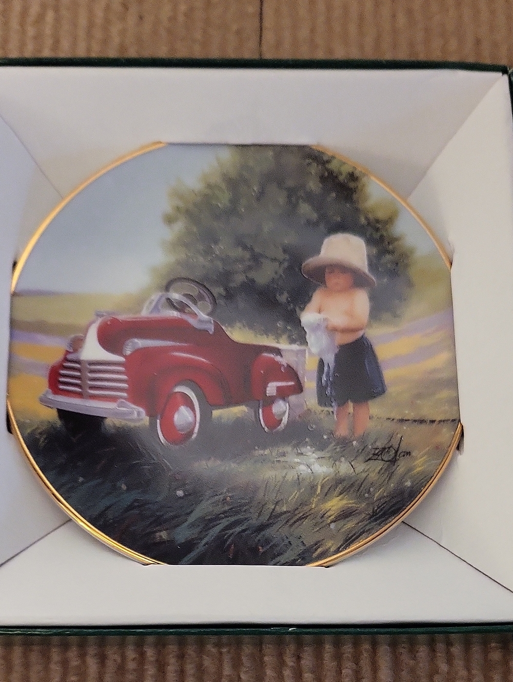 Donald Zolan "Suds And Shine" Decorative Plate